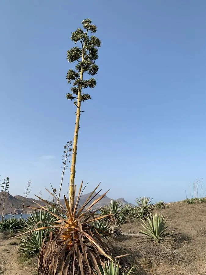 Los Perales Sorbas Séjour à la campagne
